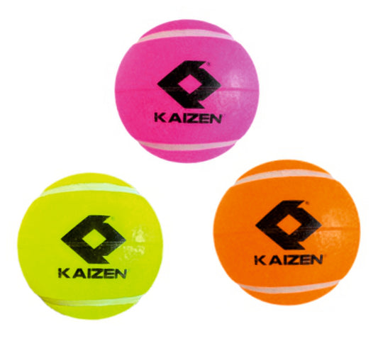 CRICKET HYBRID BALL
