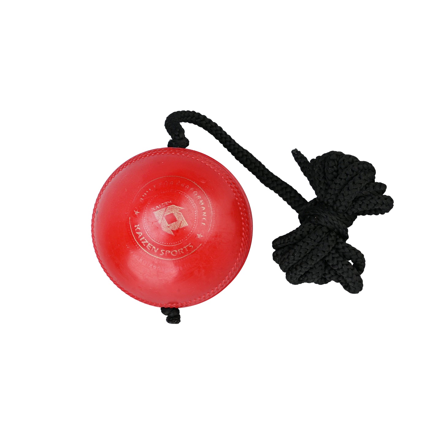 CRICKET LEATHER HANGING BALL