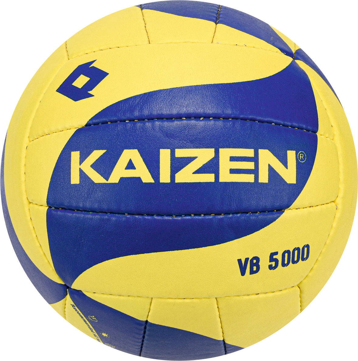 VOLLEYBALL - VB 5000
