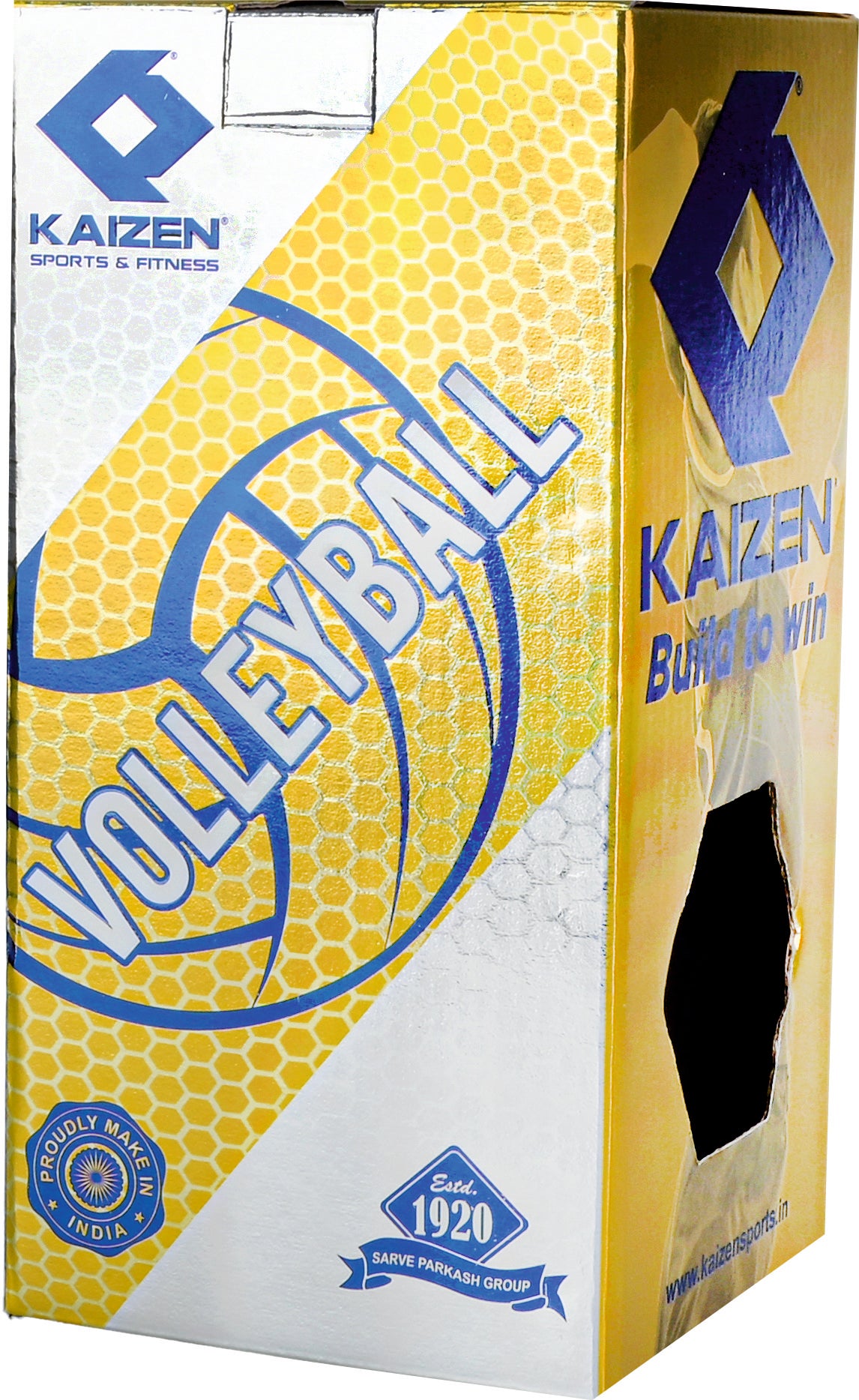 VERTEX VOLLEYBALL
