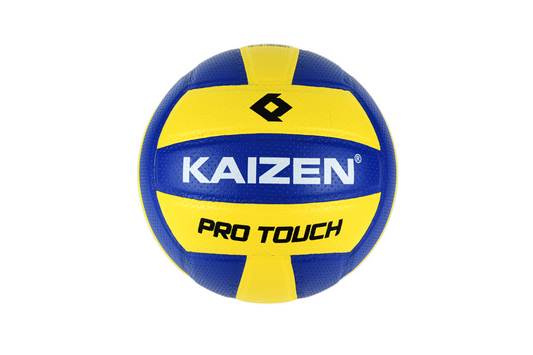 PRO TOUCH VOLLEYBALL