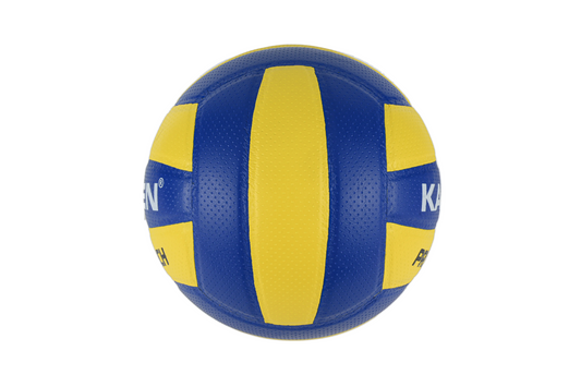 PRO TOUCH VOLLEYBALL