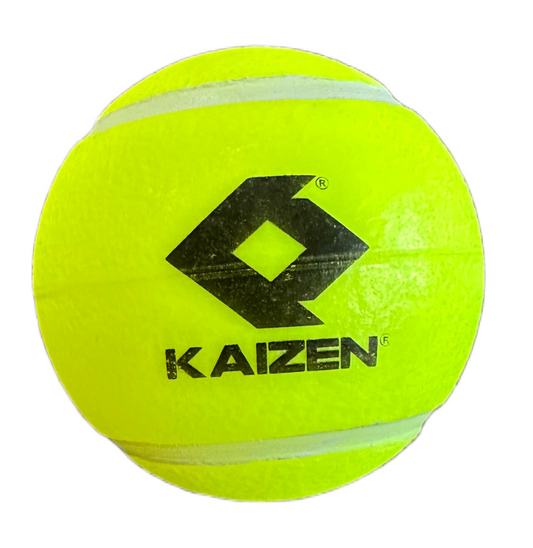 CRICKET HYBRID BALL