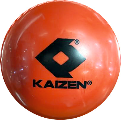 EVERLAST PU BALL
