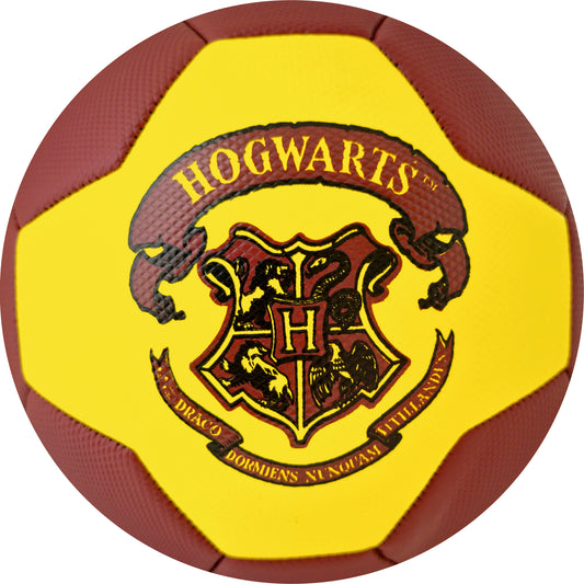 HARRY POTTER FOOTBALL PRO